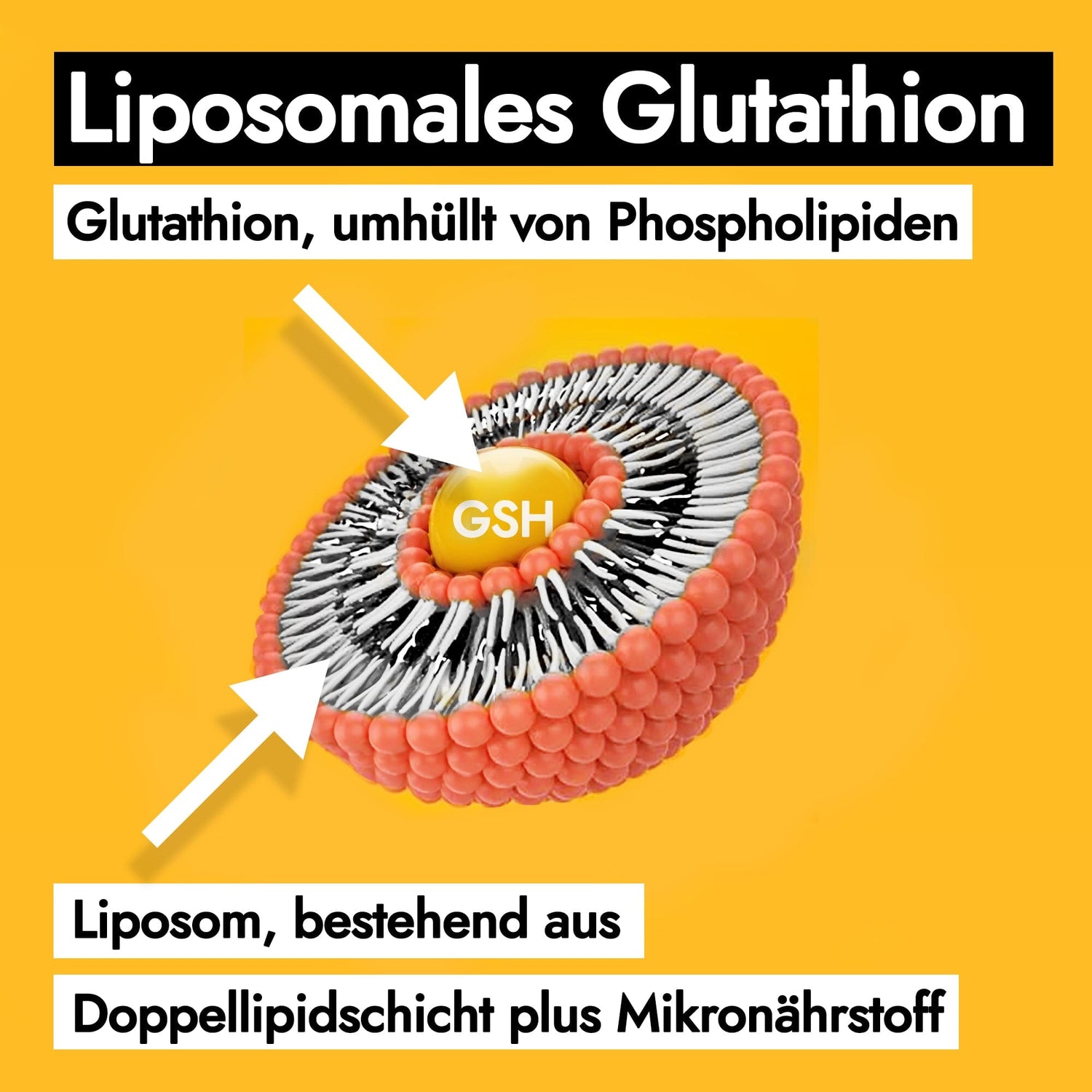 AHO Liposomaler Immun Drink Nahrungsergänzung AHO.BIO GmbH 