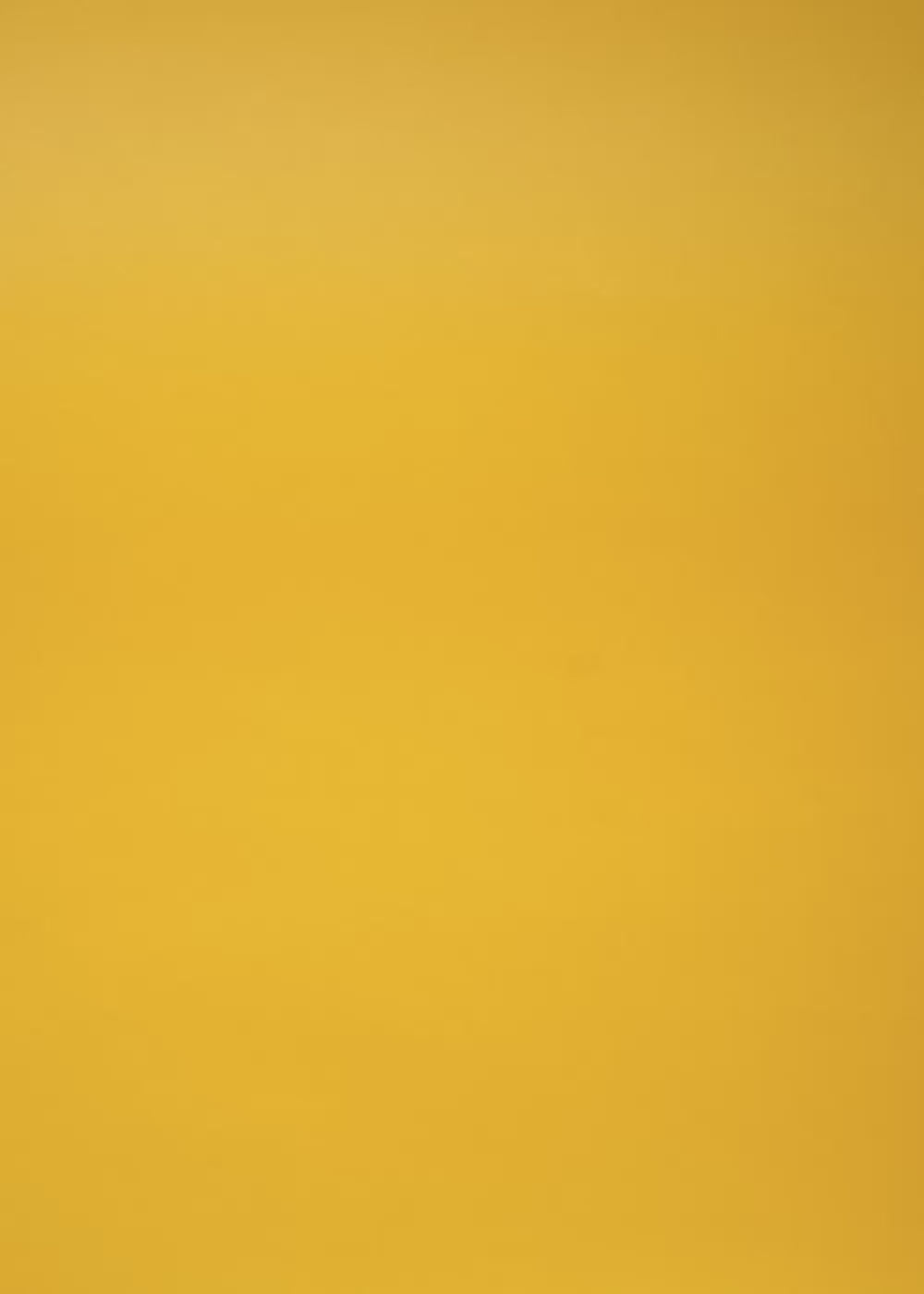 AHO Sprossen Müsli Riegel »SPROSSY«