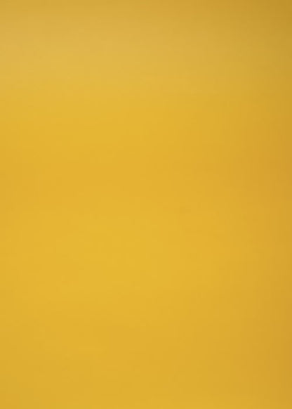 AHO Sprossen Müsli Riegel »SPROSSY«