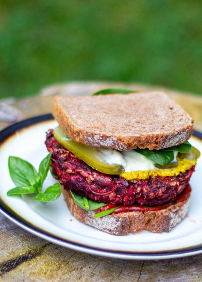 AHO Sprossen Paket AHO.BIO GmbH 