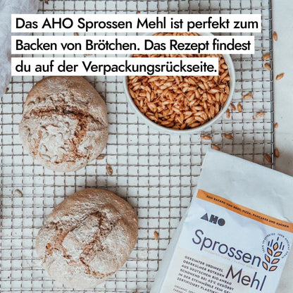 AHO Sprossen Mehl Raw Vegan Pasta AHO.BIO GmbH 