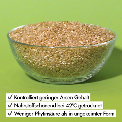 AHO Sprossen Reis Getreide AHO.BIO GmbH 